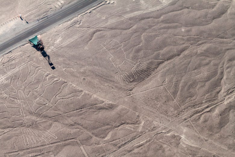 Survolez les géoglyphes de Nazca en avion