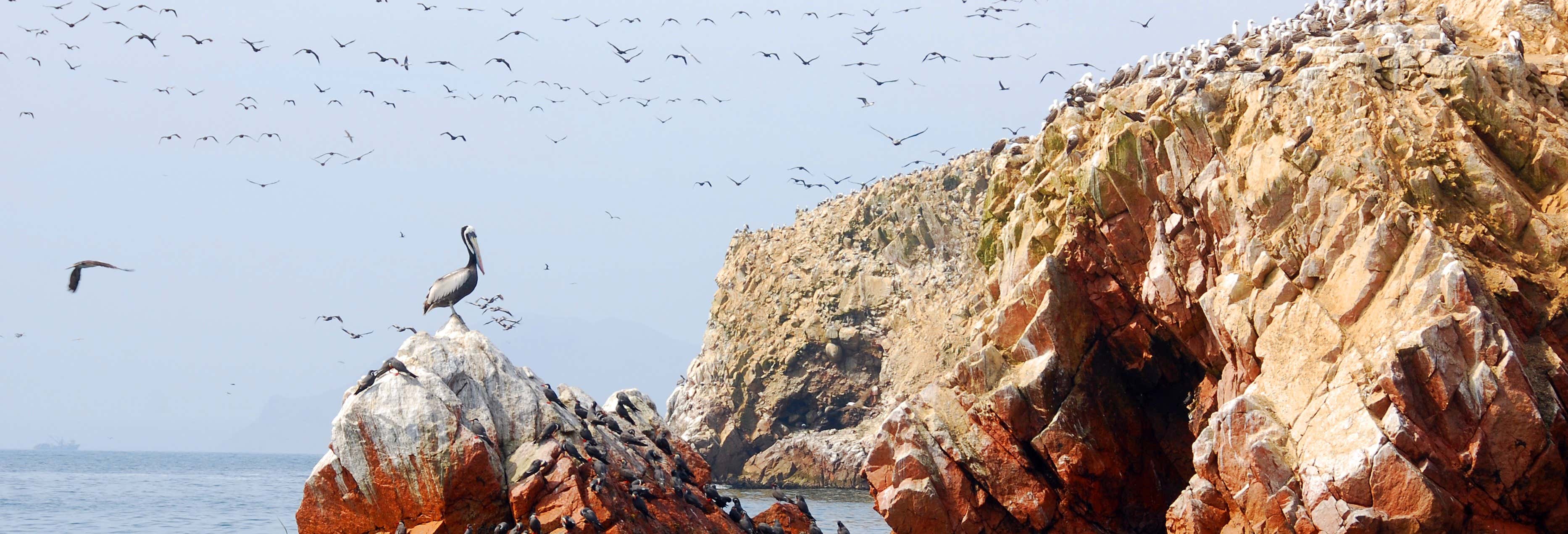 Tour de 3 días por Nazca, Ica y Paracas
