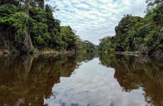 Excursion à Pacaya-Samiria