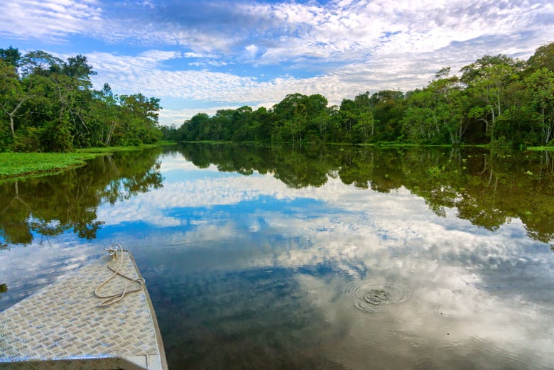 Día despejado en la selva amazónica