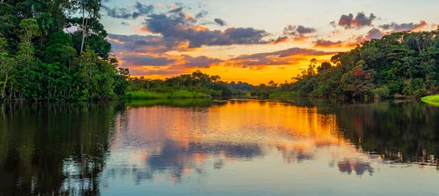 Circuit de 3 jours dans le nord de l'Amazonie