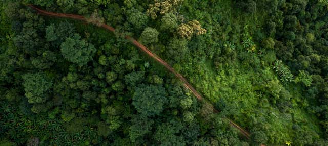 Tour de 4 dias pelo norte da Amazônia peruana