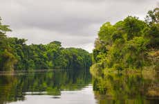 Pacaya Samiria 4 Day Tour