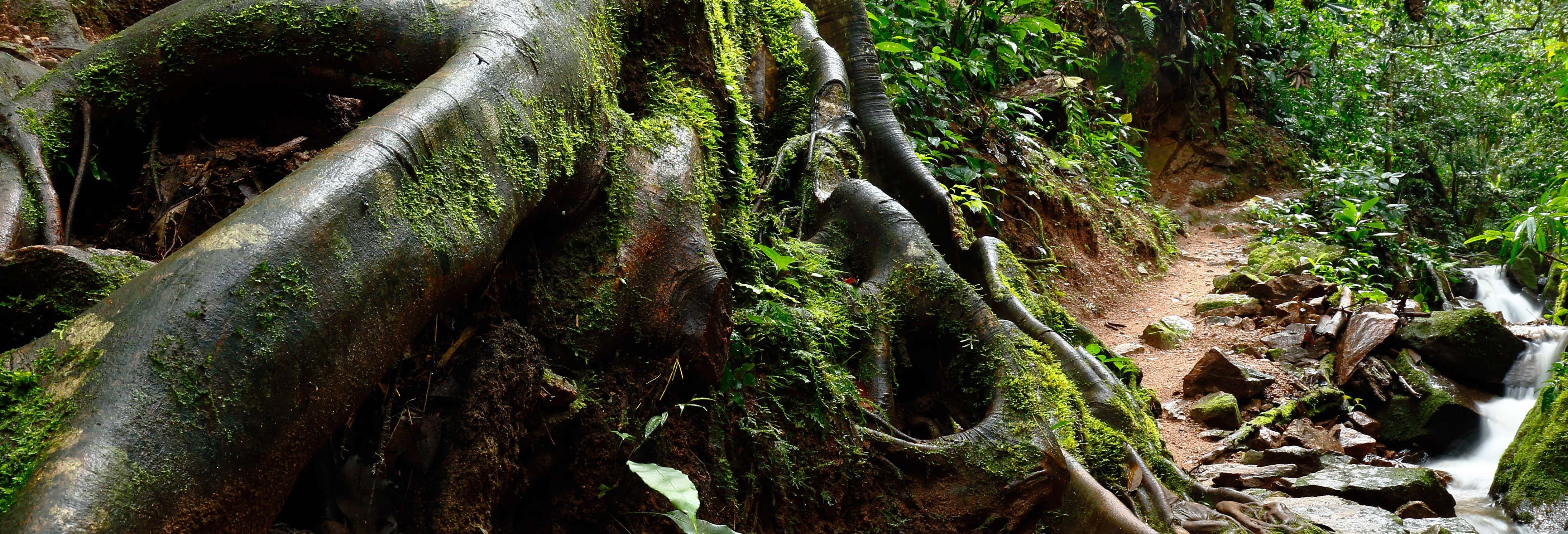 Trilha pela Rota do Indiana Jones