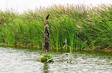 Excursión a Pantanos de Villa