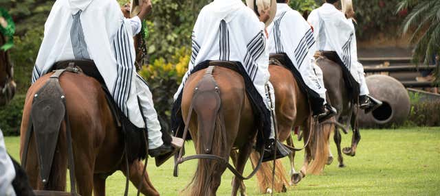 Tour Por Pachacamac Espectaculo Ecuestre De Caballos Peruanos De Lima