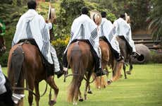 Tour por Pachacamac + Espetáculo de cavalos peruanos de passo