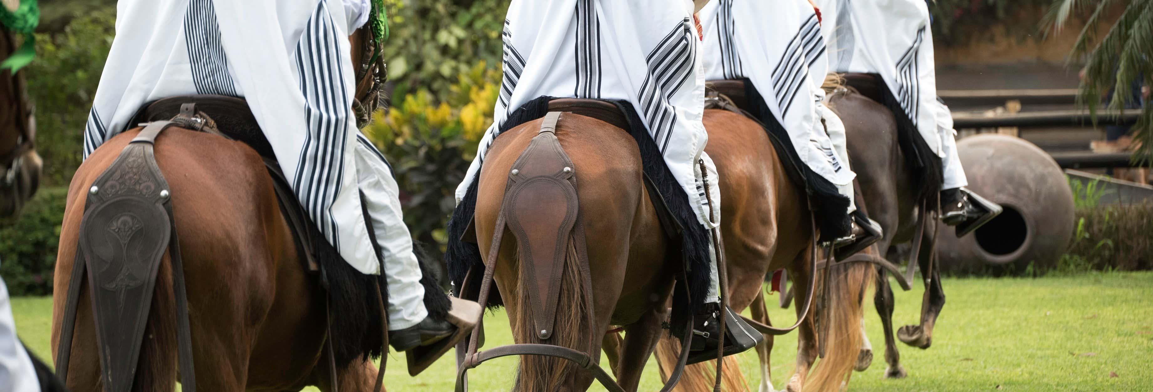 Peruvian Horse Show