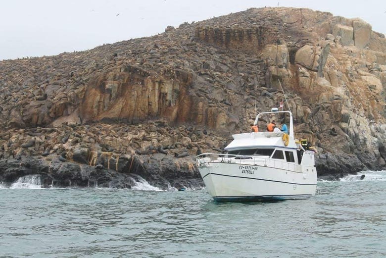 Barco en las Islas Palomino