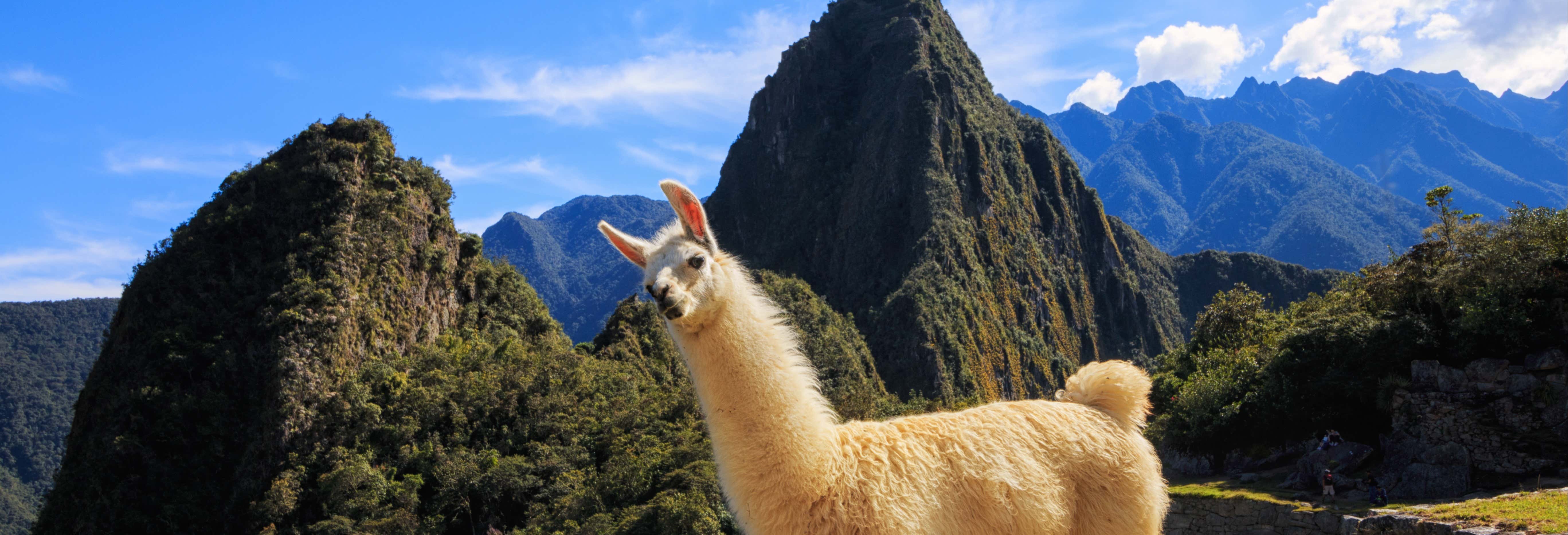 Tour de 13 días por el sur de Perú