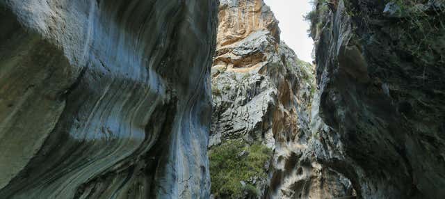 Tour de 3 días por la Reserva Paisajística Nor Yauyos-Cochas