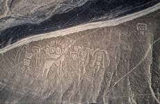 Escursione alle Linee di Palpa + Museo María Reiche