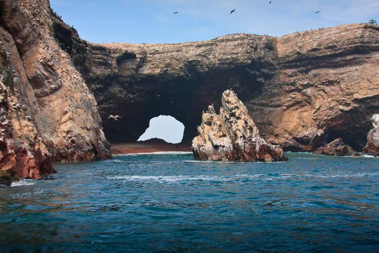 ballestas islands tour from paracas