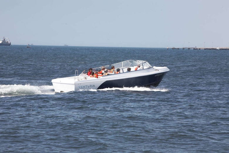 Paracas Bay speedboat