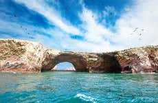 Excursion aux îles Ballestas