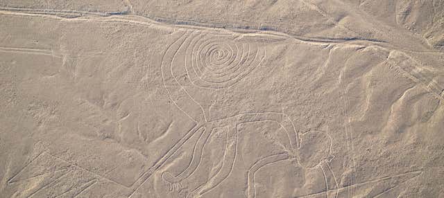 Nazca Lines Flight
