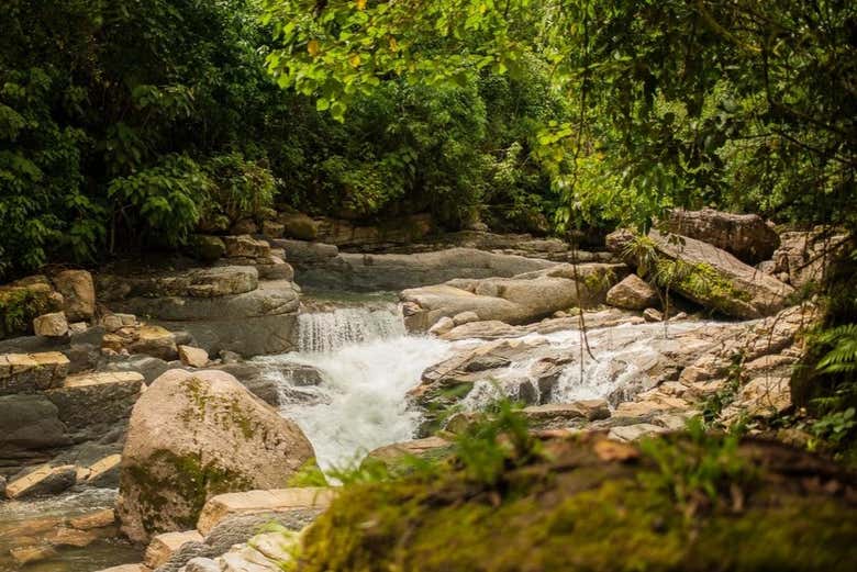 Cordillera Azul National Park Hiking Tour from Pucallpa