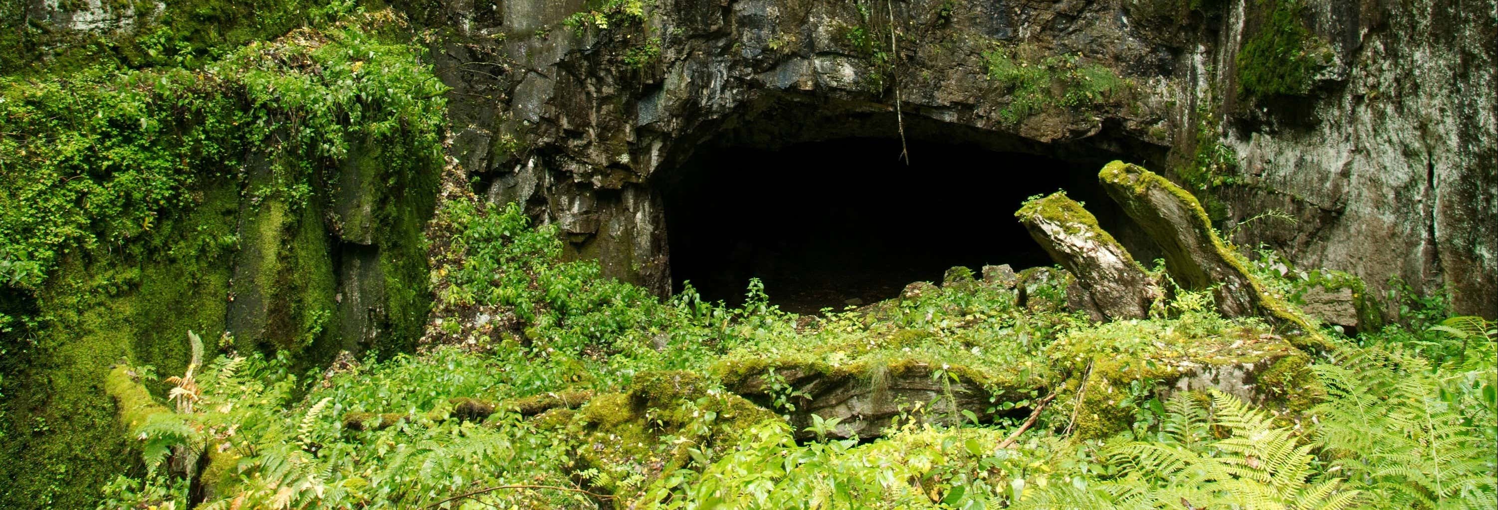 Excursão à Cueva de la Viuda