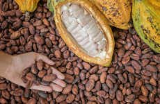 Laboratorio di cioccolato a Puerto Inca