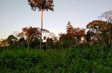 Rota de 4 dias de trilha pela floresta amazônica