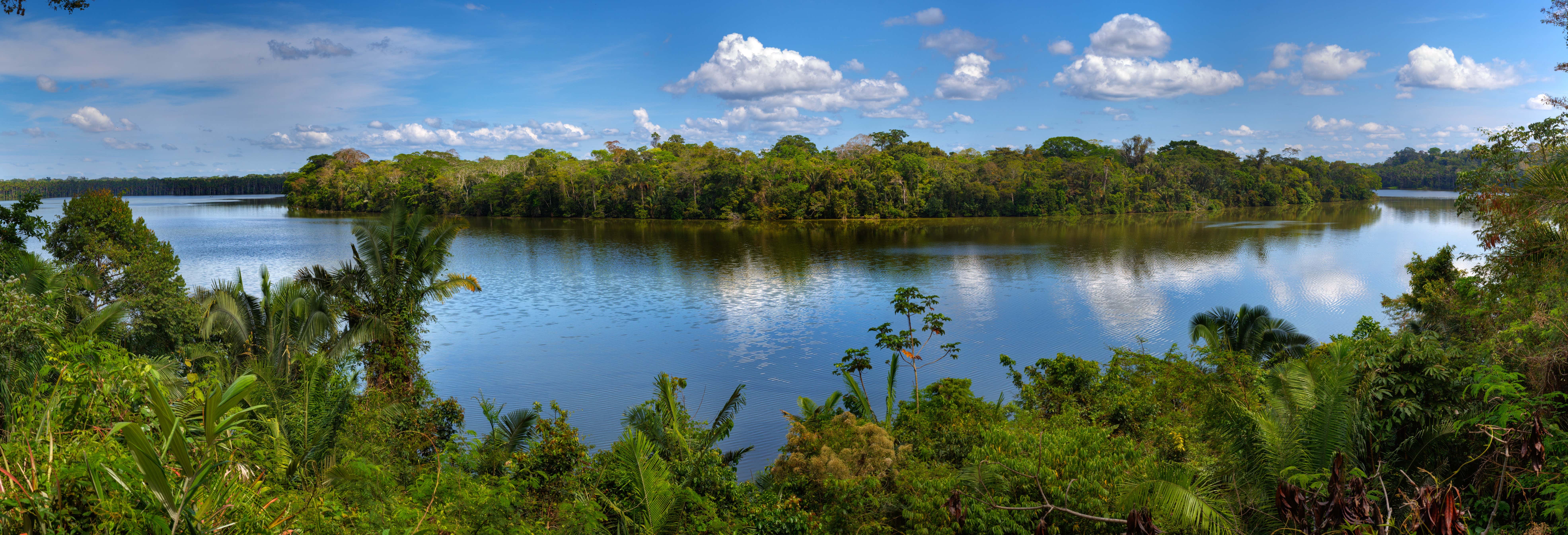 Tour de 3 días por Tambopata
