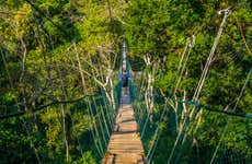 Amazon Rainforest: 4 Day Tour