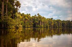Trekking por la selva + Lago Sandoval