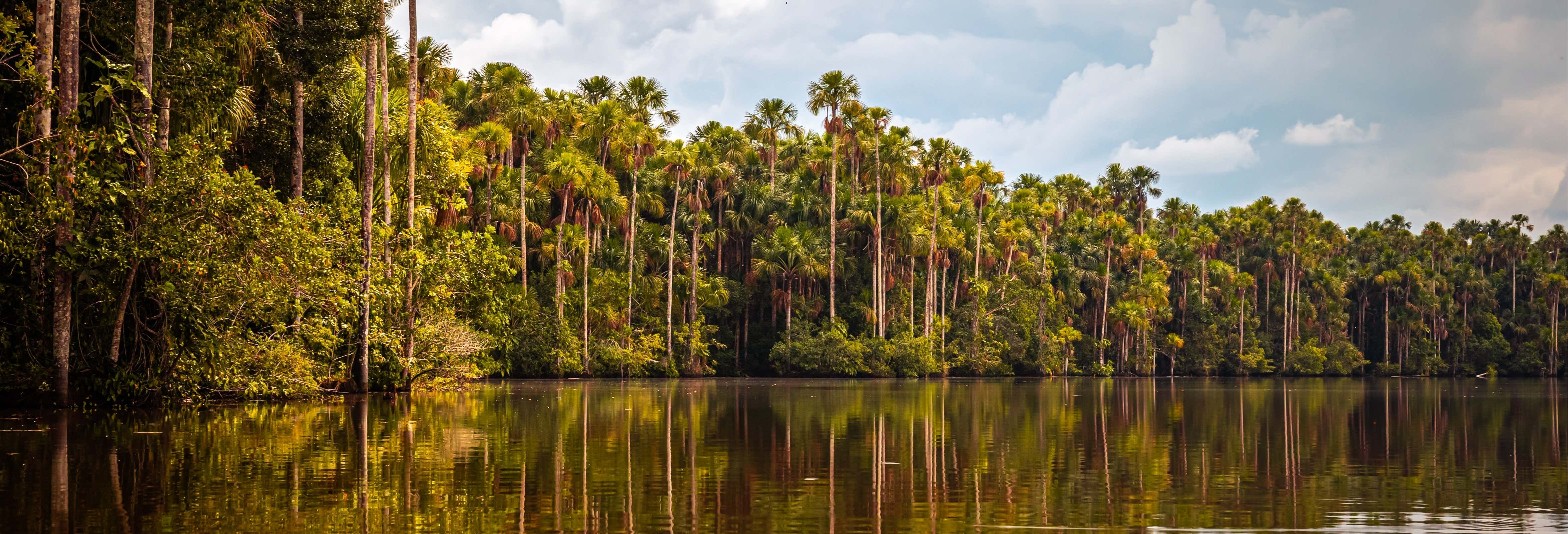 Trekking por la selva + Lago Sandoval