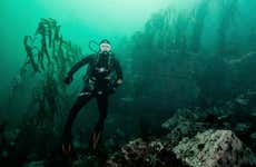 Immersione per principianti a San Bartolo