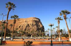 Excursion à Arica