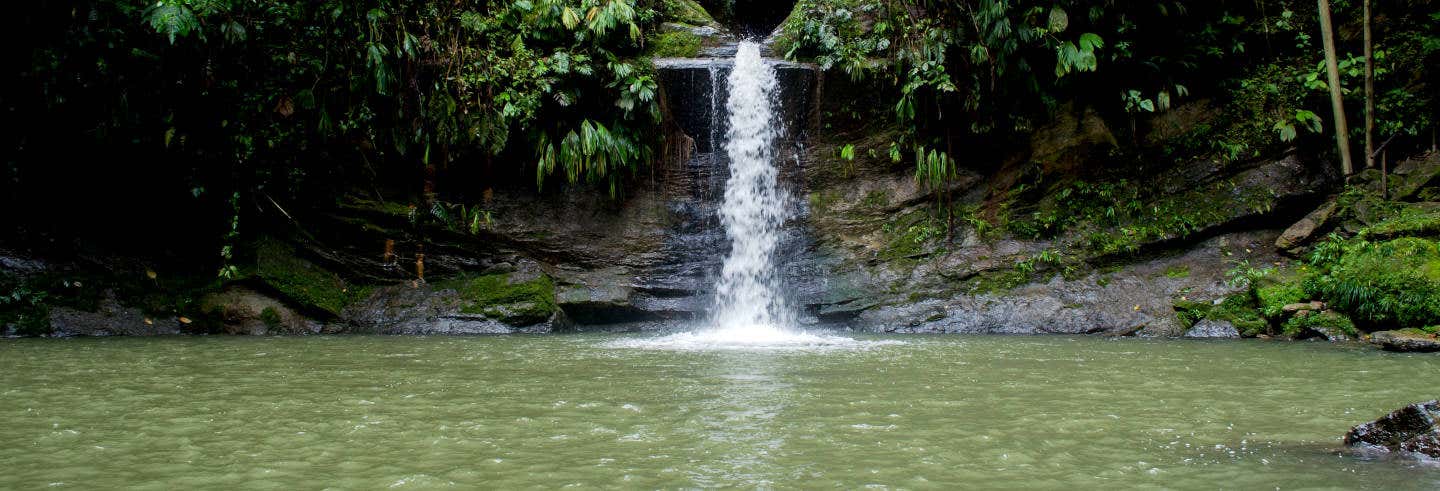 Excursión a la Catarata de Carpishuyacu