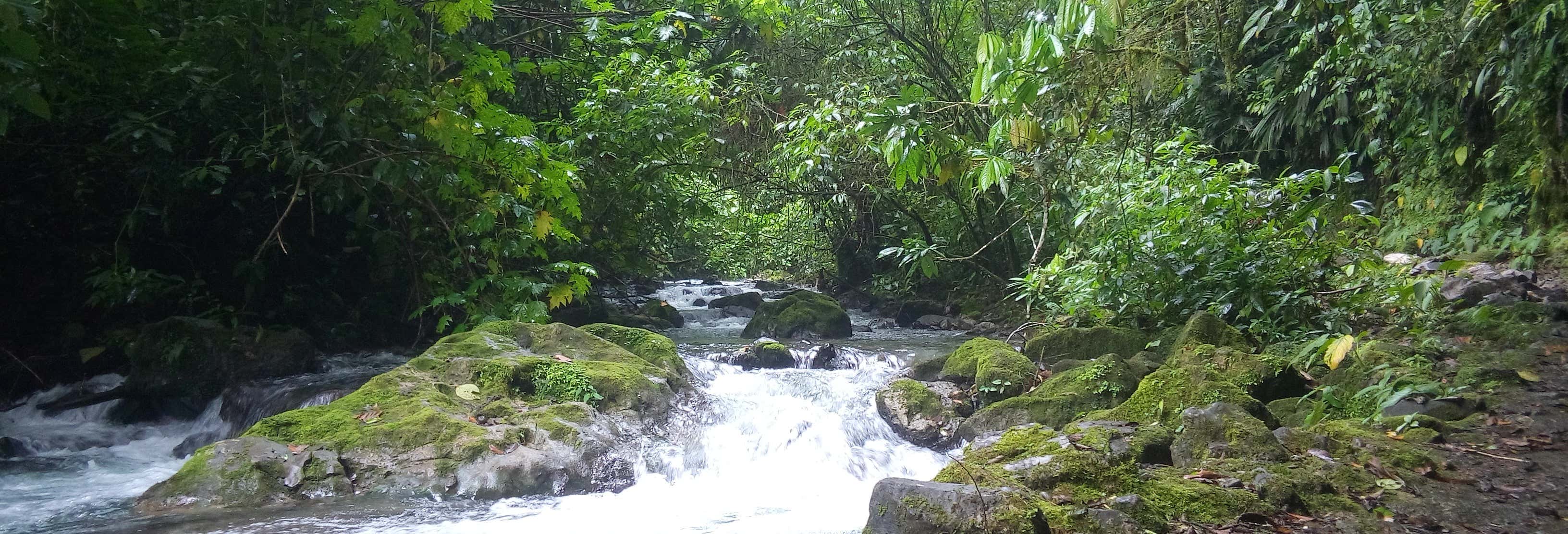 Excursão a Gloriapata