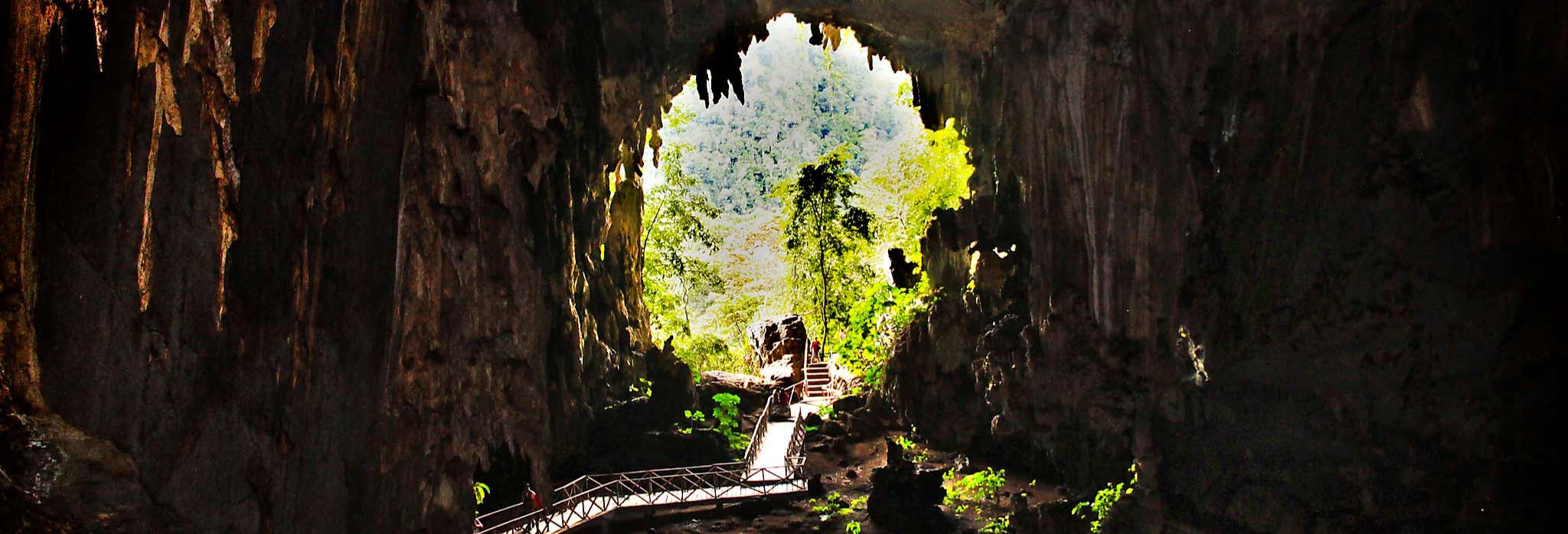 Excursión al Parque Nacional Tingo María