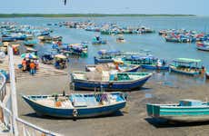 Excursión a Puerto Pizarro