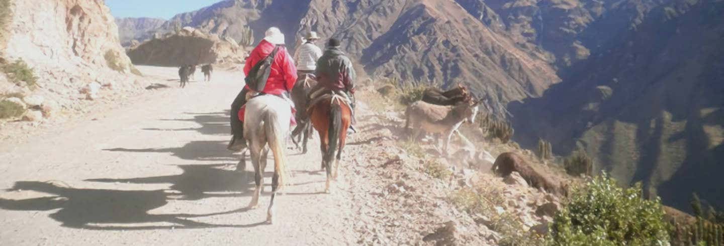 Paseo a caballo por el Cañón del Colca