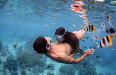 Bora Bora en 4x4 + Snorkel con tiburones