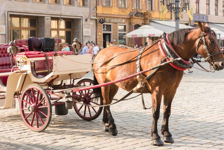 Horse and Carriage Ride in Wroclaw