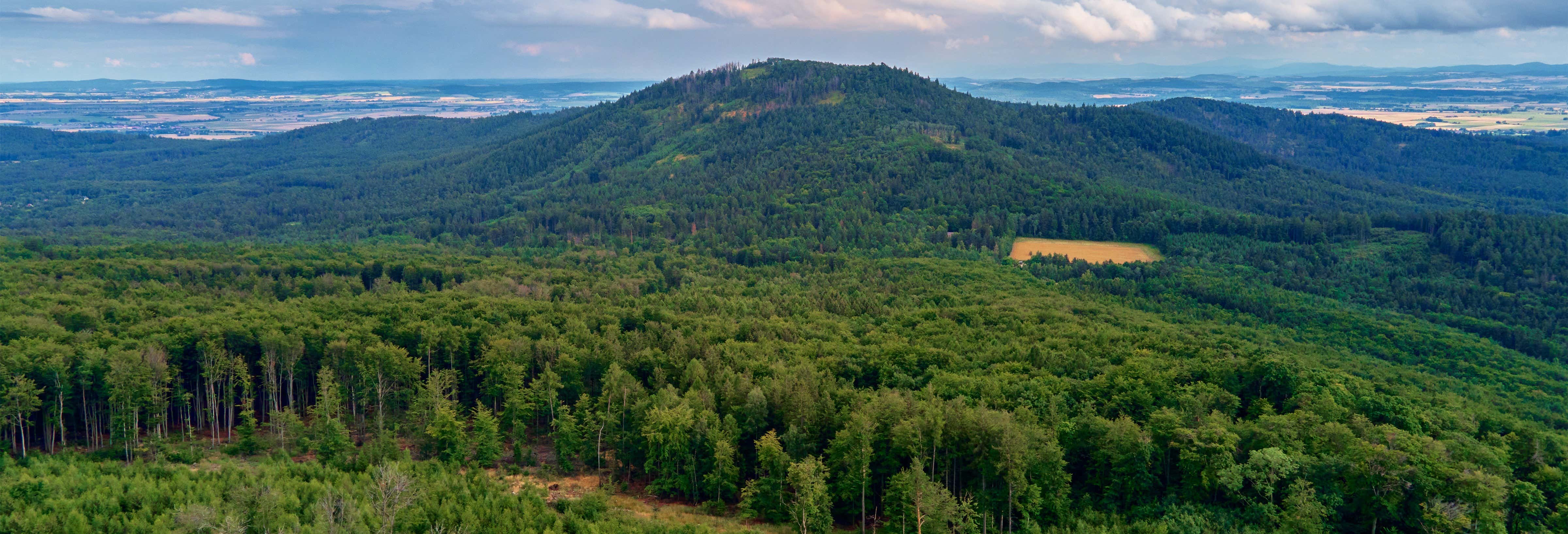 Tour pelo Monte Ślęża, Krzyżowa e Świdnica