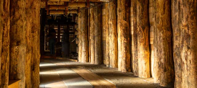 Tour della Miniera di Sale di Wieliczka