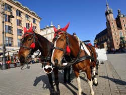 Carroças de cavalos na Praça do Mercado