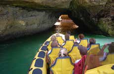 Algarve Dolphin Watching Boat Trip