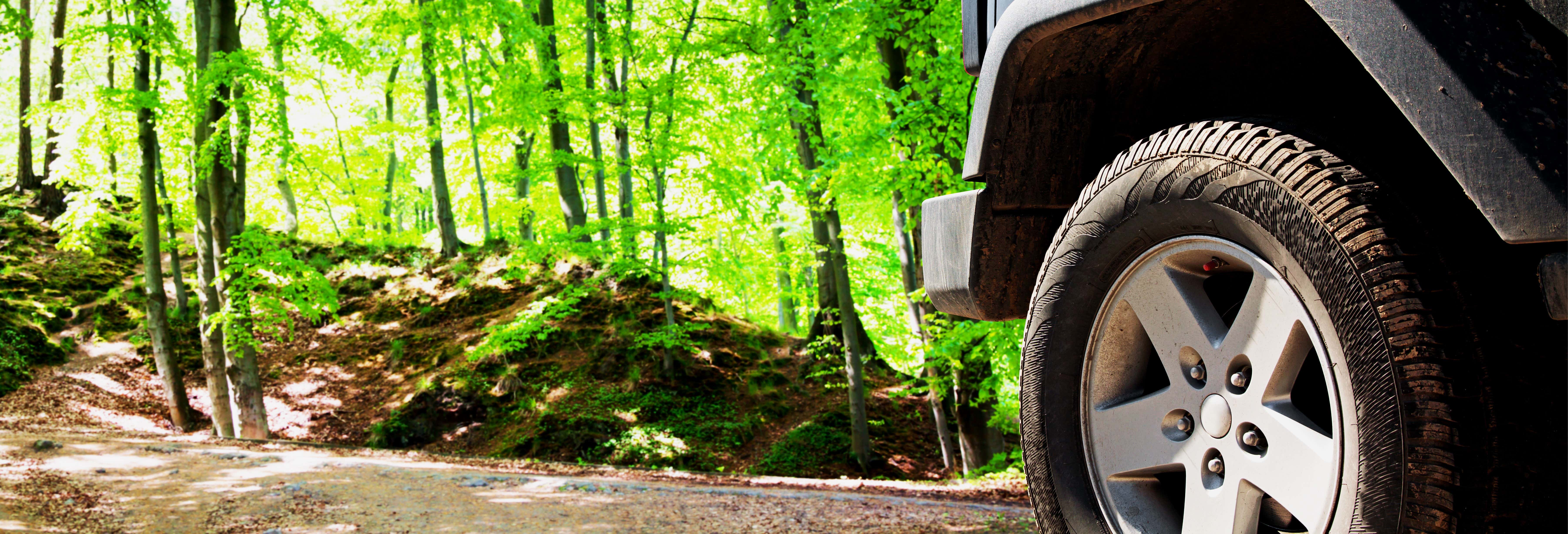 Jeep Safari and Arade River Boat Tour