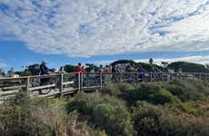 Tour en bicicleta por la Ría Formosa