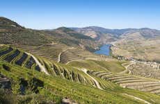 Tour por la región del Duero