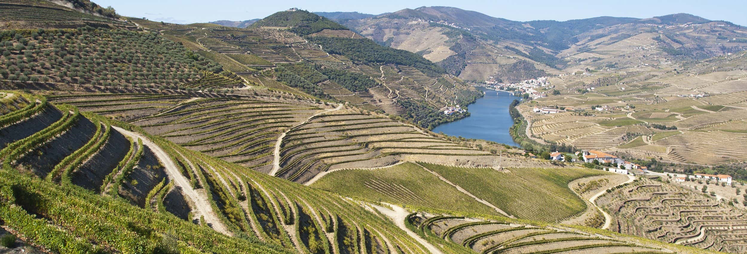 Tour por la región del Duero