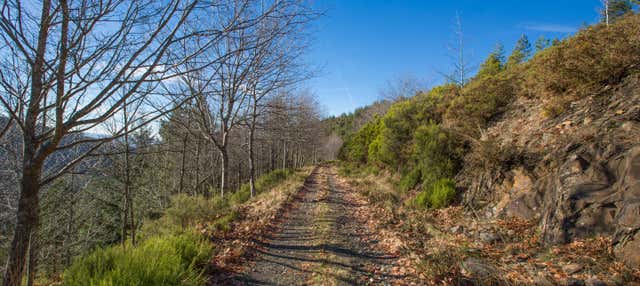 Visite dans la Serra de Marão en 4x4