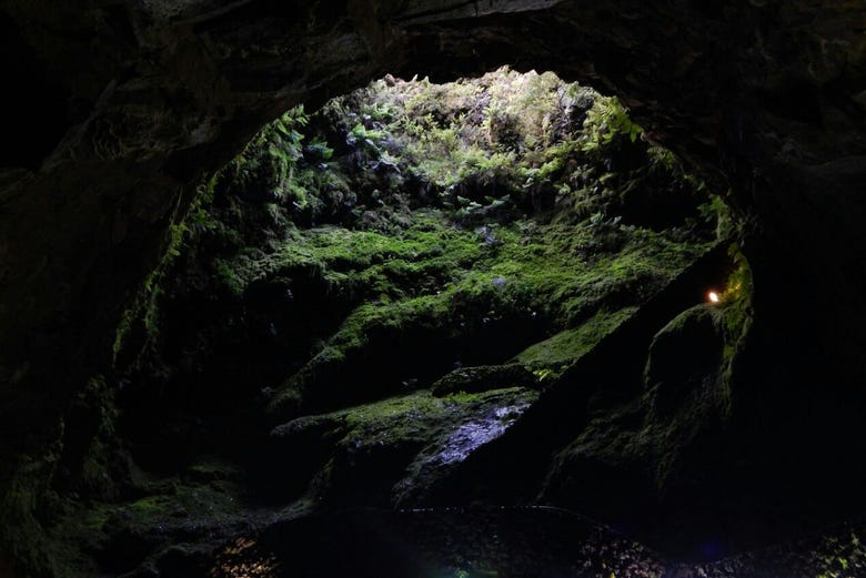 En una de las cuevas de Terceira