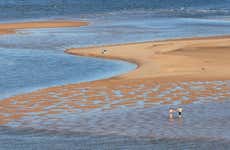 Excursão a Olhão + Passeio de barco pela Ria Formosa