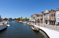Free tour por Aveiro