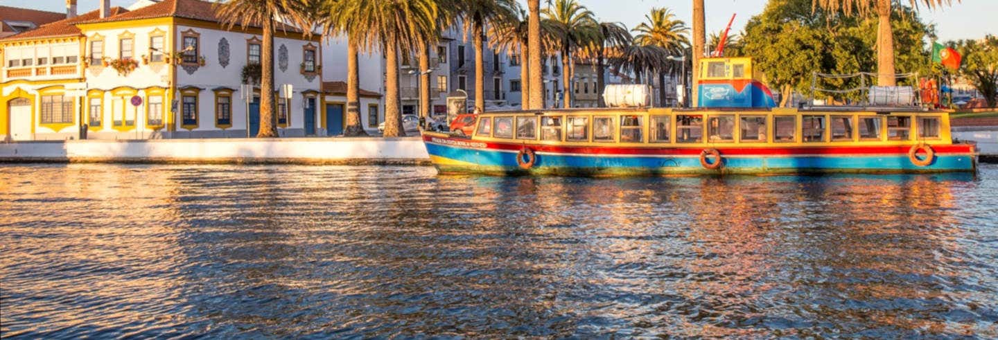 Paseo en barco por la ría de Aveiro